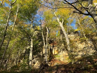 Ferienpark Ernzen Umgebung 28