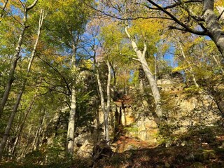 Parc de vacances Ernzen Environnement 20