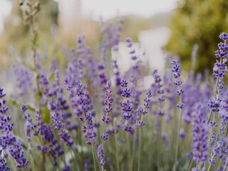 Holiday park Ernzen Environment 19