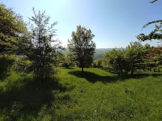 Vakantiepark Ernzen Omgeving 13