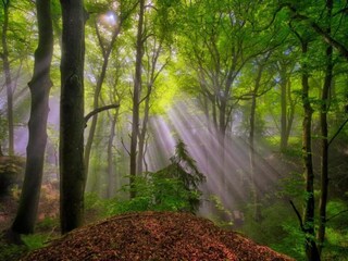 Ferienpark Ernzen Umgebung 21