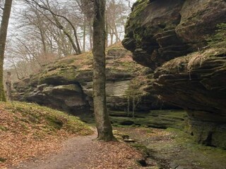 Ferienpark Ernzen Umgebung 44