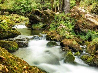 Parc de vacances Ernzen Environnement 36