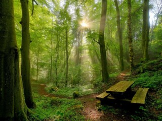 Ferienpark Ernzen Umgebung 31
