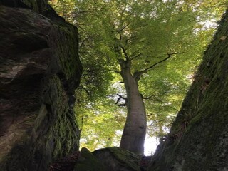 Parc de vacances Ernzen Environnement 32