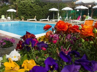 Vakantiepark Loano Buitenaudio-opname 2