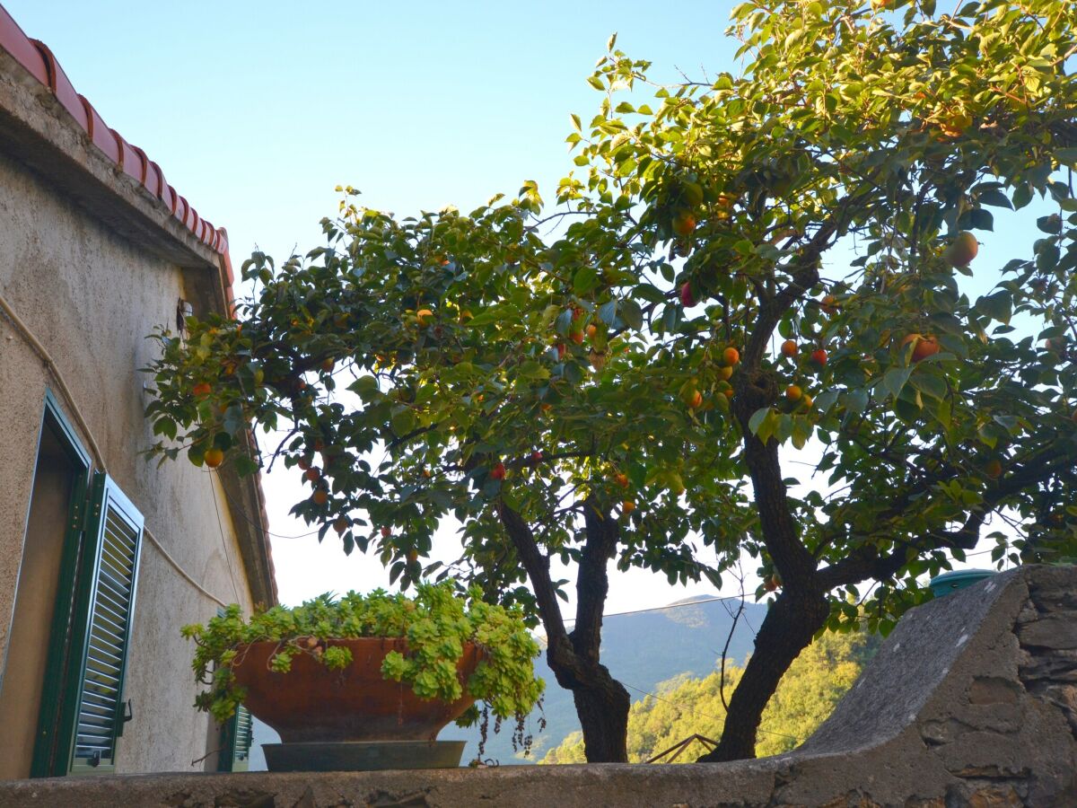 Ferienhaus Casanova Lerrone Außenaufnahme 9