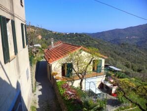 Maison de vacances avec terrasse - Casanova Lerrone - image1