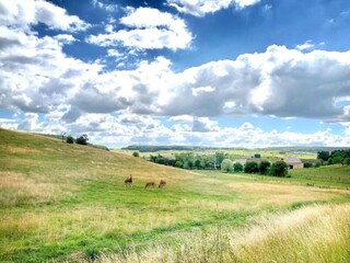 Holiday park Nommern Environment 26