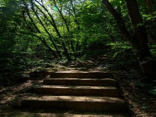 Parc de vacances Nommern Environnement 22