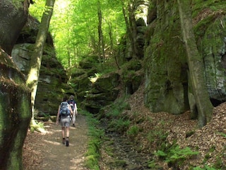 Holiday park Nommern Environment 27