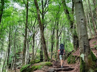 Ferienpark Nommern Umgebung 27