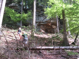 Ferienpark Nommern Umgebung 30