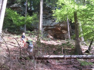 Parc de vacances Nommern Environnement 29