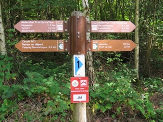 Ferienpark Nommern Umgebung 25