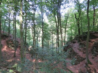 Parc de vacances Nommern Environnement 17