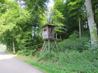 Parc de vacances Nommern Environnement 18