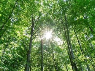 Ferienpark Nommern Umgebung 17