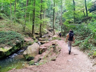 Ferienpark Nommern Umgebung 31