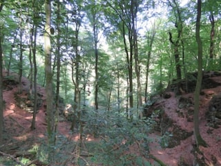Ferienpark Nommern Umgebung 18
