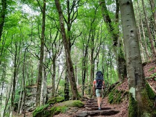 Parc de vacances Nommern Environnement 27