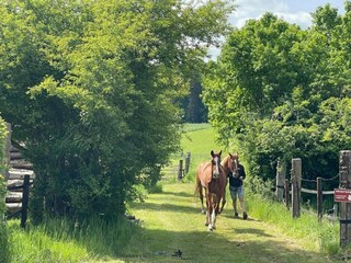Vakantiepark Nommern Omgeving 18