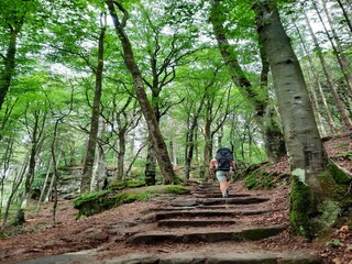 Vakantiepark Nommern Omgeving 10