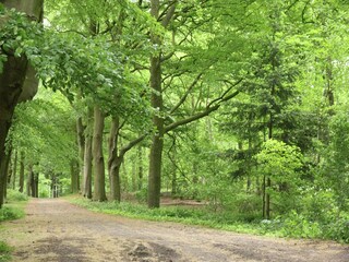 Chalet Cothen Omgeving 24