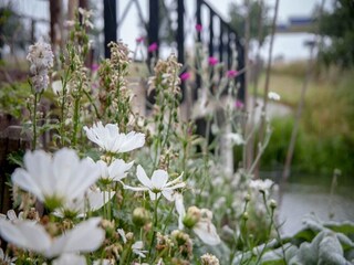 Chalet Cothen Ambiente 25