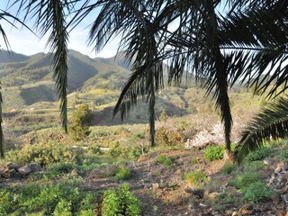 Casa per le vacanze Los Llanos de Aridane Ambiente 8