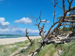 Weststrand