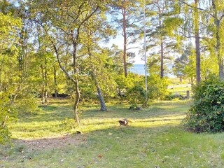 Vakantiehuis Kalmar Buitenaudio-opname 6