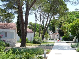 Vakantiepark Nin Buitenaudio-opname 7