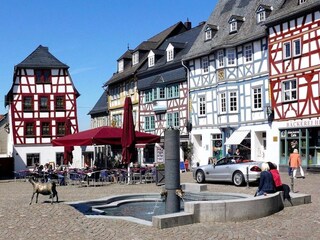 Apartment Bad Camberg Umgebung 33