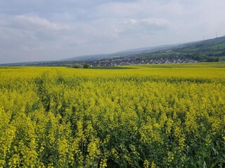 Appartement Bad Camberg Environnement 38
