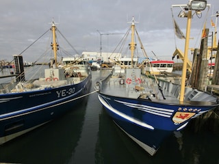 Holiday park Wemeldinge Environment 24