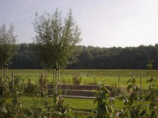 Parc de vacances Wemeldinge Environnement 36