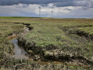 Parc de vacances Wemeldinge Environnement 34
