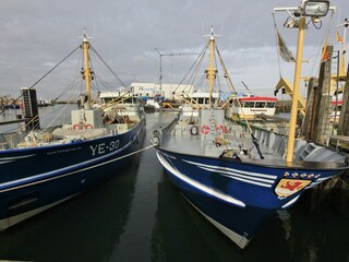 Parc de vacances Wemeldinge Environnement 12