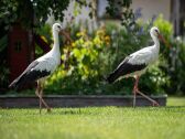 Casa de vacaciones Pobierowo Grabación al aire libre 1