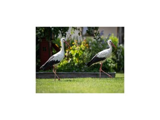 Casa de vacaciones Pobierowo Grabación al aire libre 10