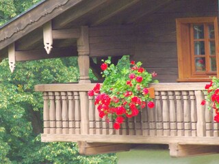 Apartamento de vacaciones Waldmünchen Entorno 5