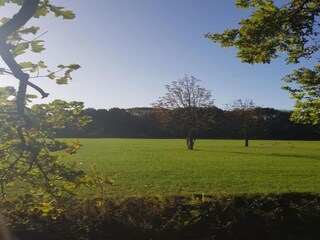 Ferienpark Baarle-Nassau Umgebung 17