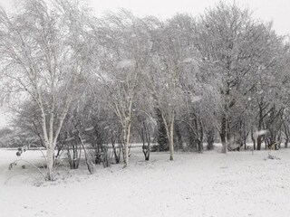 Vakantiepark Baarle-Nassau Omgeving 16