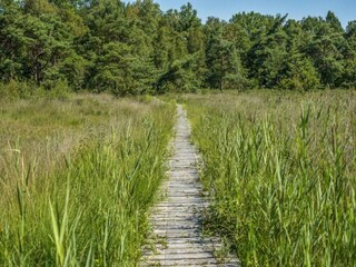 Vakantiepark Baarle-Nassau Omgeving 27