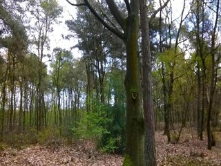 Ferienpark Baarle-Nassau Umgebung 36