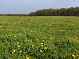 Ferienpark Baarle-Nassau Umgebung 24