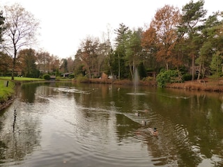 Vakantiepark Baarle-Nassau Omgeving 18