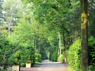 Vakantiepark Baarle-Nassau Buitenaudio-opname 5