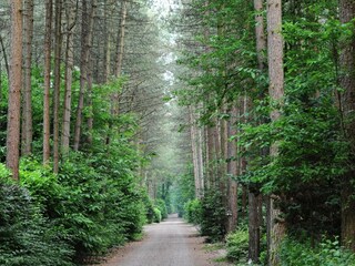 Parco vacanze Baarle-Nassau Registrazione all'aperto 2